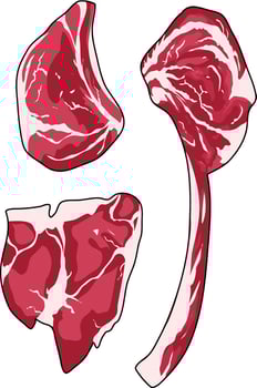 Set of fresh meat. Different parts of beef. Vector illustration