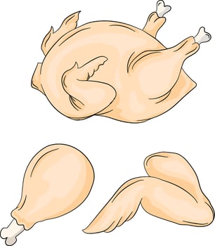 A set of raw chicken pieces. Chicken legs, wings and whole peeled chicken. Flat cartoon vector illustration isolated on white background.
