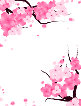 Sweet Valentines Frame with Pink Flowers. Sakura Bloom Border. Cute Floral Falling Petals Background. png