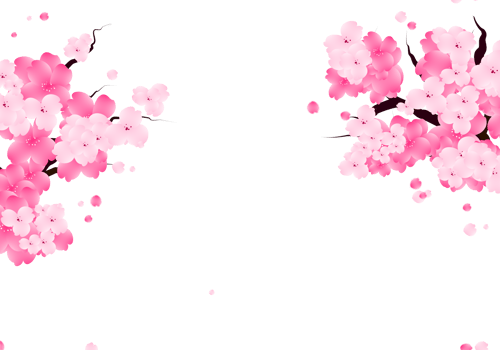 Sweet valentines frame with pink sakura flowers. png