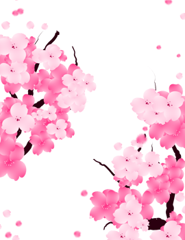 Sweet Valentines Frame with Pink Flowers. Sakura Bloom Border. Cute Floral Falling Petals Background. png