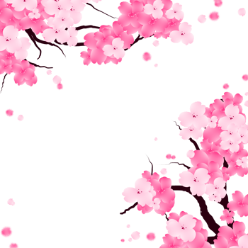 Pink Sakura Valentines Frame. Cherry Bloom Border. png
