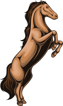 vector illustration of horse with detailed artwork