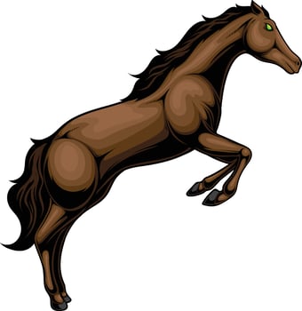 vector illustration of horse with detailed artwork