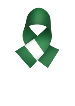Nigeria flag element design national independence day banner ribbon png