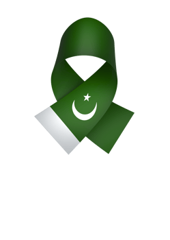 Pakistan flag element design national independence day banner ribbon png