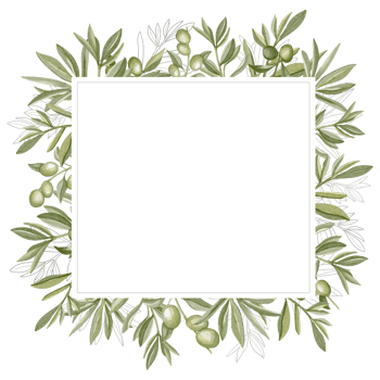 Hand drawn watercolor frame with olive branches and leaves. Perfect for creating cards, print, wedding invitation. png