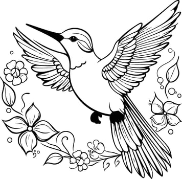 Hummingbird coloring pages vector