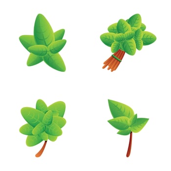 Basil icons set cartoon vector. Basil stem with green leaf vector
