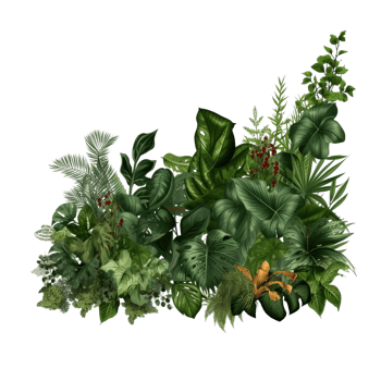 AI generated border Bushes Consisting of various plants and wild leaves png