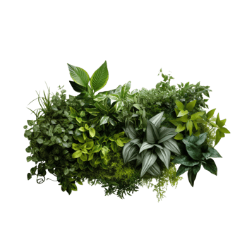 AI generated Bushes Consisting of plants and wild leaves png