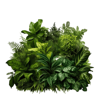AI generated Bushes Consisting of plants and wild leaves png