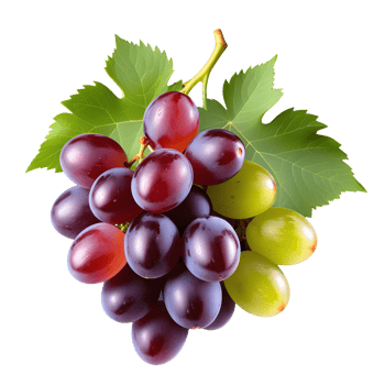 AI generated Grapes isolated on transparent background png