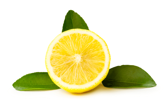 Front view of fresh yellow lemon half with leaves isolated with clipping path and shadow in png file format