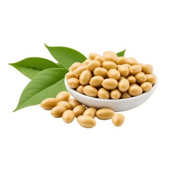 AI generated Soya beans isolated png