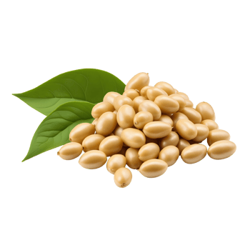 AI generated Soya beans isolated png