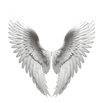 AI generated Angel wings isolated png
