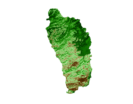 Dominica Topographic Map 3d realistic map Color 3d illustration png