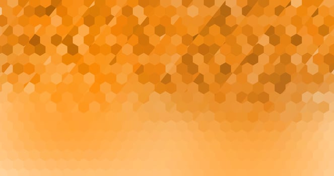 modern elegant abstract orange background with smooth vibrant color vector