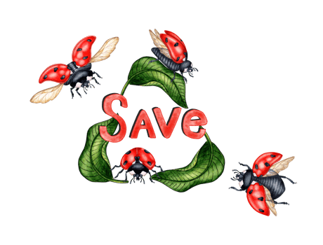 Watercolor illustration of green leaves in the shape of a recycling sign with red ladybugs and the word SAVE. Reuse environmental design symbol. Wasteless lifestyle. Isolated. Hand drawn. png