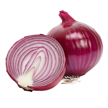 AI generated Onion cut in half png isolated on transparent background