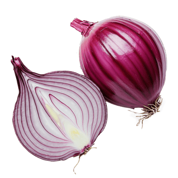 AI generated Onion cut in half png isolated on transparent background