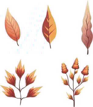 vector, nature, illustration, leaf, autumn, pattern, flower, wreath, wheat, icon, design, laurel, frame, plant, summer, gold, decoration, floral, art, yellow, orange, fire, leaves, ear, symbol vector