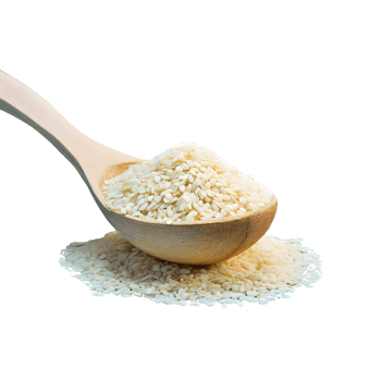 AI generated White sesame seeds in a wooden spoon isolated on transparent background png