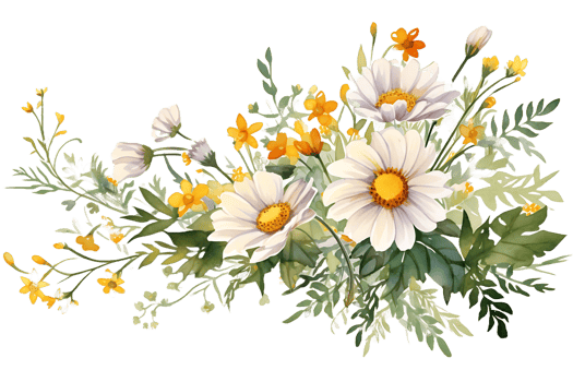 AI generated Watercolor Daisy Flowers Corner Border  Chamomile Bouquet, Wildflowers for Wedding Invitations and Greeting Cards png