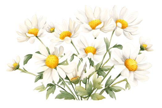 AI generated Daisy Flower Watercolor Clipart  Chamomile Illustration Perfect for Wedding and Home Decor png