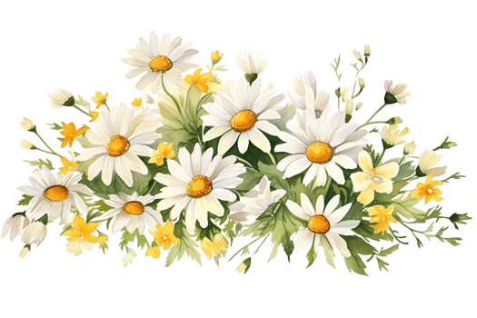 AI generated Watercolor Daisy Flowers Corner Border  Chamomile Bouquet, Wildflowers for Wedding Invitations and Greeting Cards png