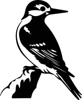 woodpecker  black silhouette vector