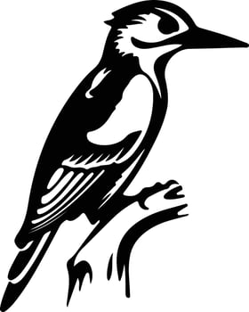 woodpecker  black silhouette vector