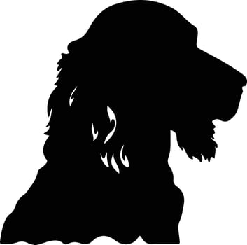 Irish Water Spaniel    black silhouette vector