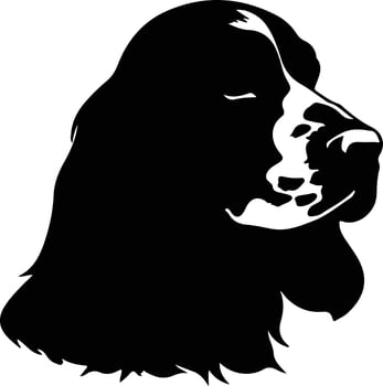 American Cocker Spaniel   black silhouette vector