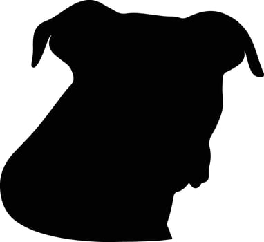 American Pit Bull Terrier   black silhouette vector