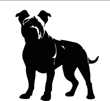 American Pit Bull Terrier    black silhouette vector