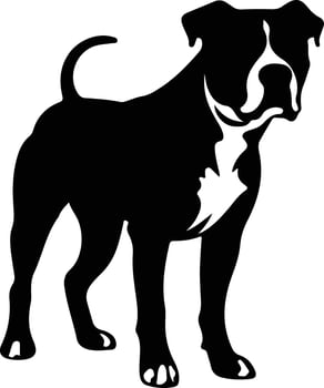 American Pit Bull Terrier   black silhouette vector