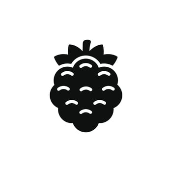 Blackberry icon isolated on white background vector