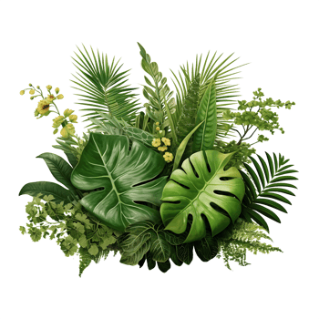 AI generated Nature's Elegance Transparent Tropical Leaves png