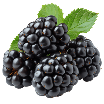 AI generated Clear Cut Delight, Blackberry Isolated on Transparent Canvas png