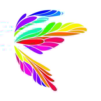 premium , butterfly wings logo vector
