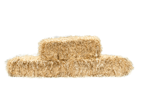 Golden yellow haystack on transparent background png