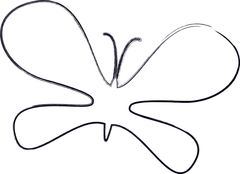 Butterfly doodle drawing and design. png