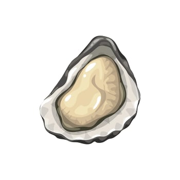 Oyster, cartoon seafood cuisine, sea food mollusk vector