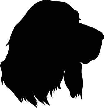 Sussex Spaniel  silhouette portrait vector