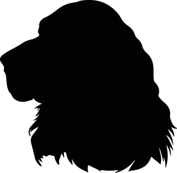 Sussex Spaniel  silhouette portrait vector
