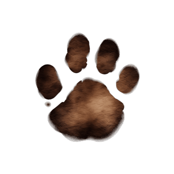 AI generated animal Paw Print on transparent background PNG image