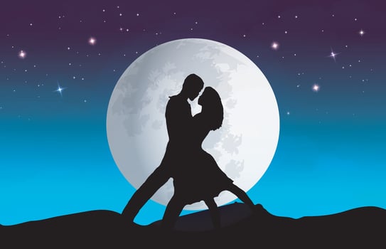 Dark night  illustration background in shadow style moon night Lovely marriage background vector