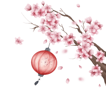 pink cherry blossom with lantern png